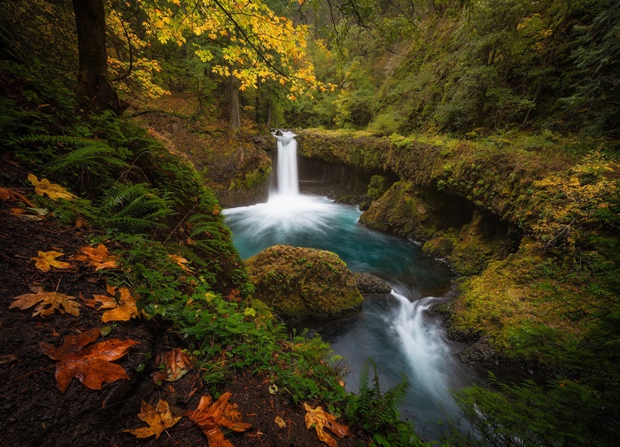 Waterfall in a lush forest during autumn