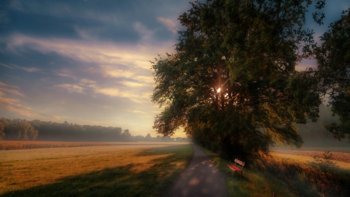 Bench Fog Morning Road