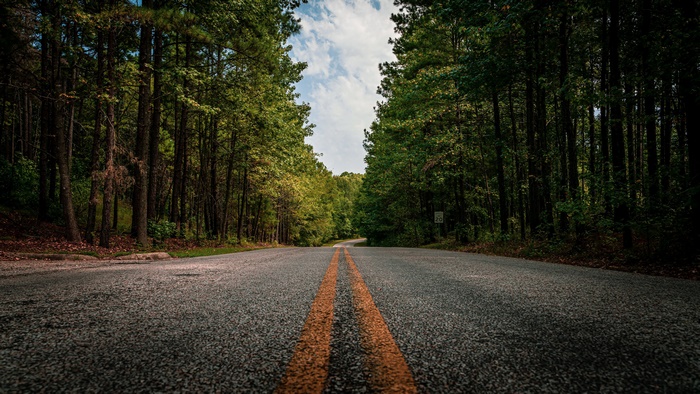 Road through a forest