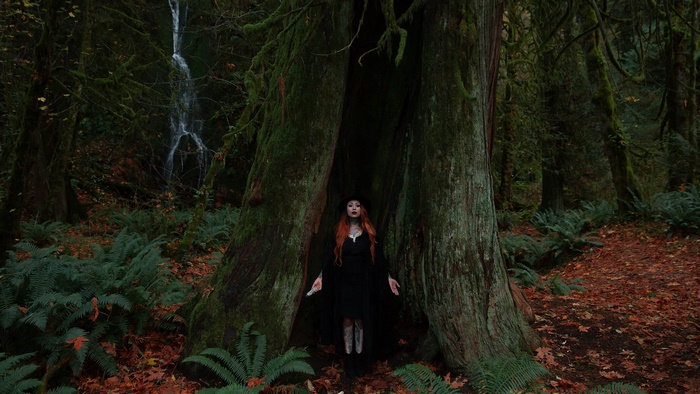 Redhead woman in black dress standing in a hollow tree trunk