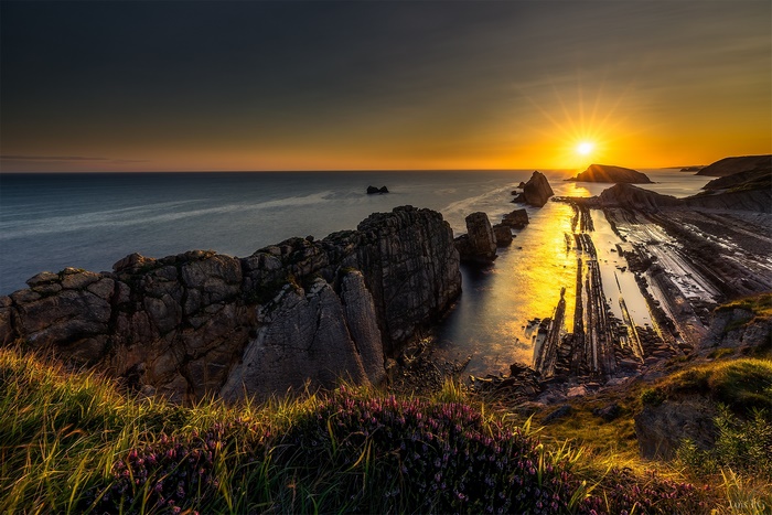 Sunset over rocky coast and ocean