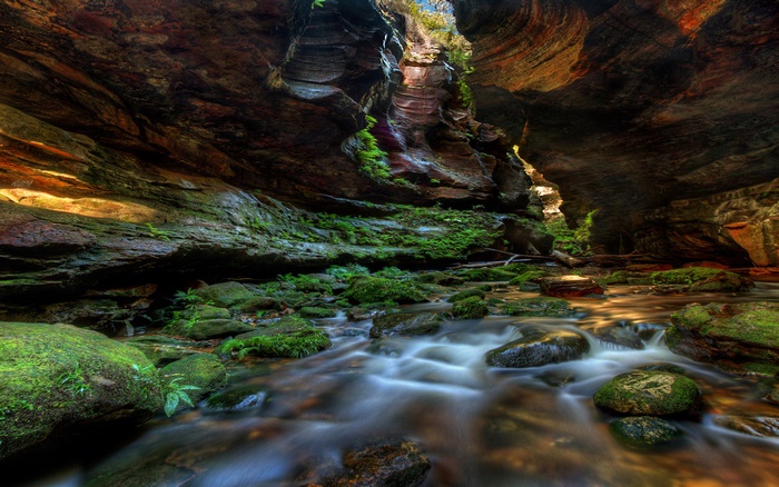 Mossy rocks in a narrow canyon with a stream