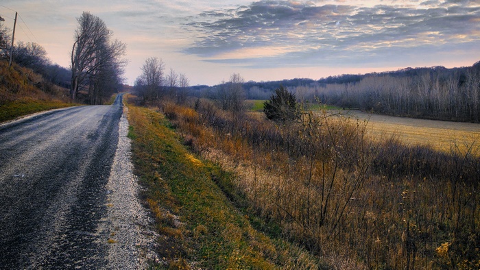 Road through a field in fall