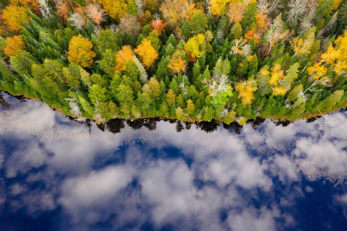 Aerial view of autumn forest reflecting in a lake