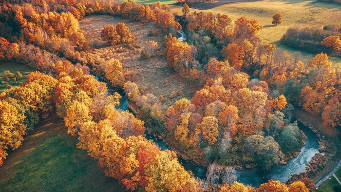 Aerial view of a river winding through autumn forest