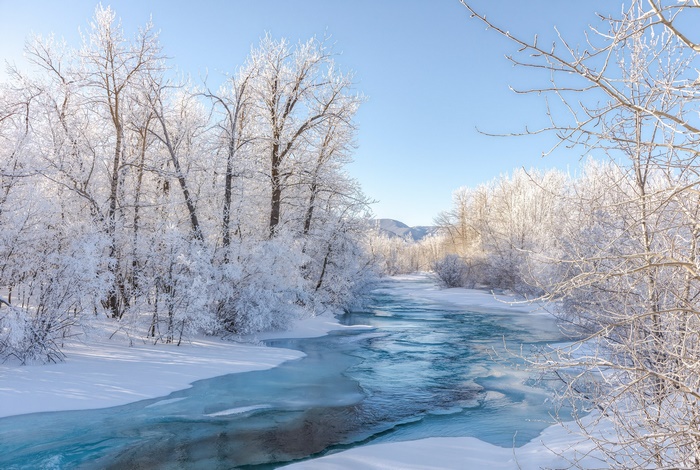 Frozen River in a Snowy Forest