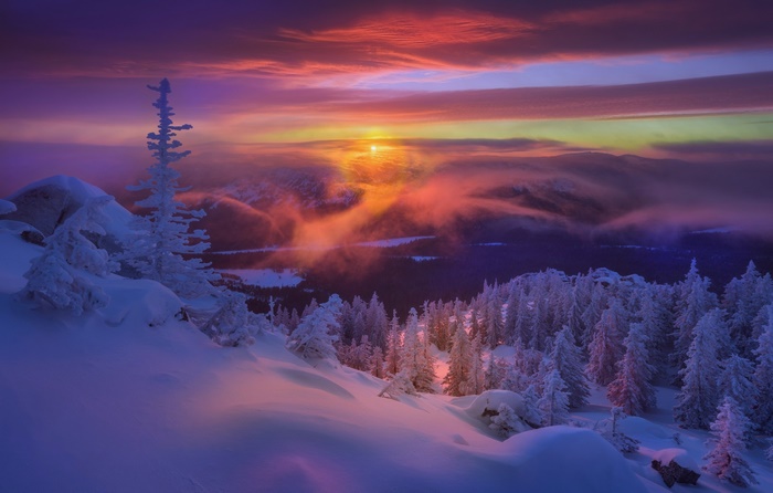 Winter Sunset over Snowy Mountains with Fir Trees