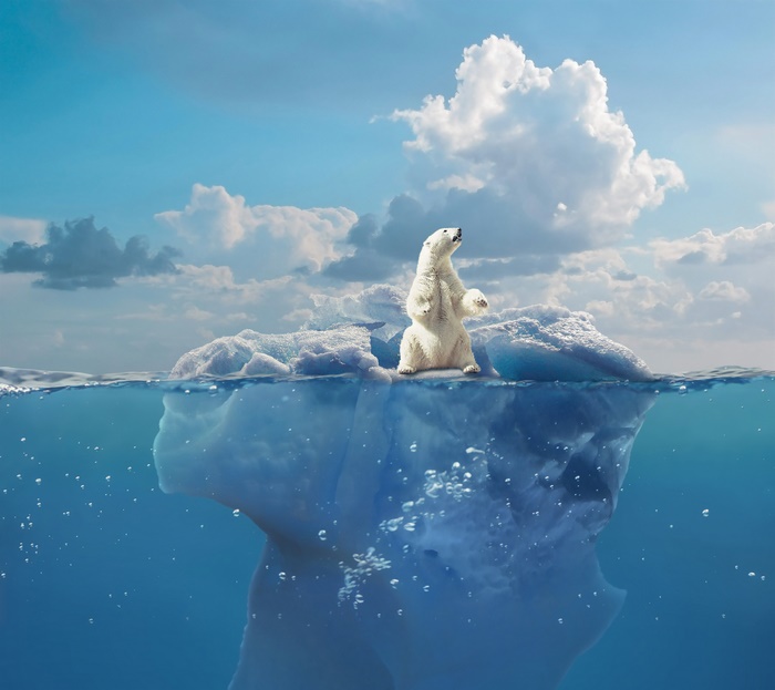 Polar bear on a melting iceberg under a cloudy sky