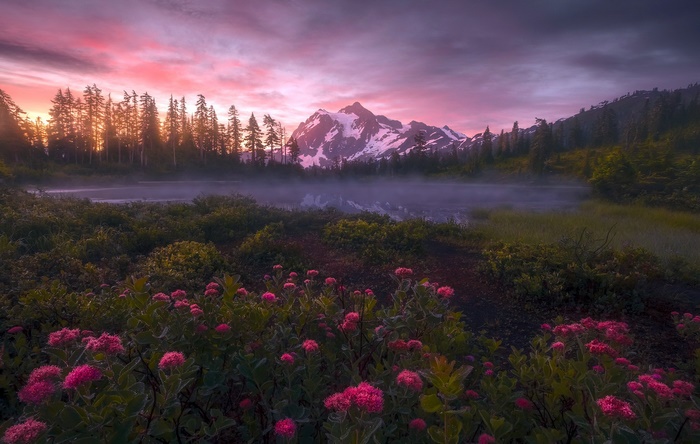 Pink flowers and misty lake at sunset with mountains
