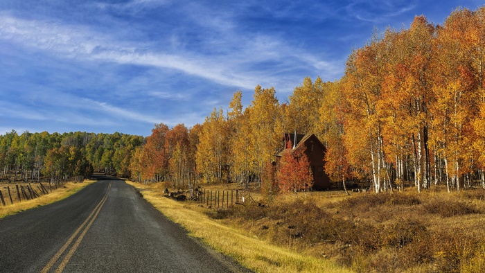 Road through autumn forest with house