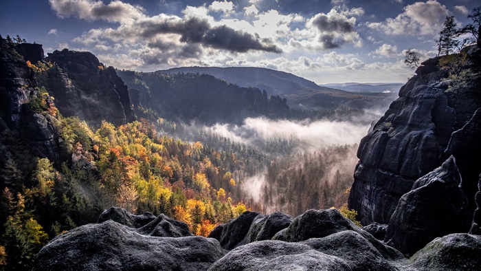 Mountain forest landscape with fog and autumn colors