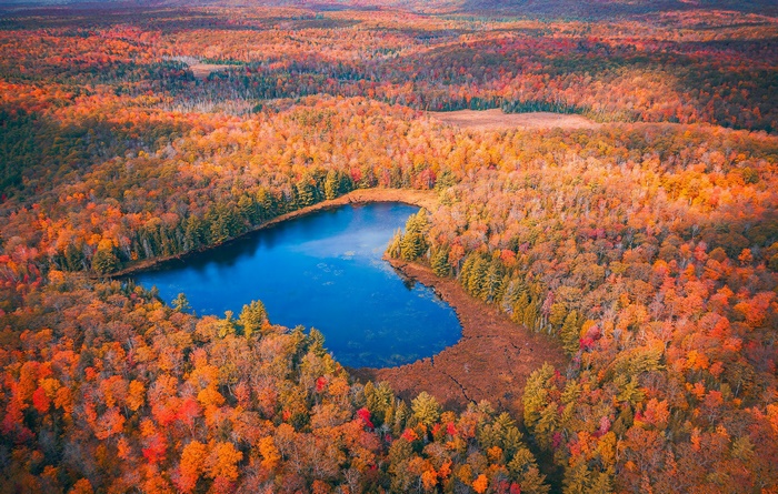 Aerial View of Heart-Shaped Lake in Fall Forest