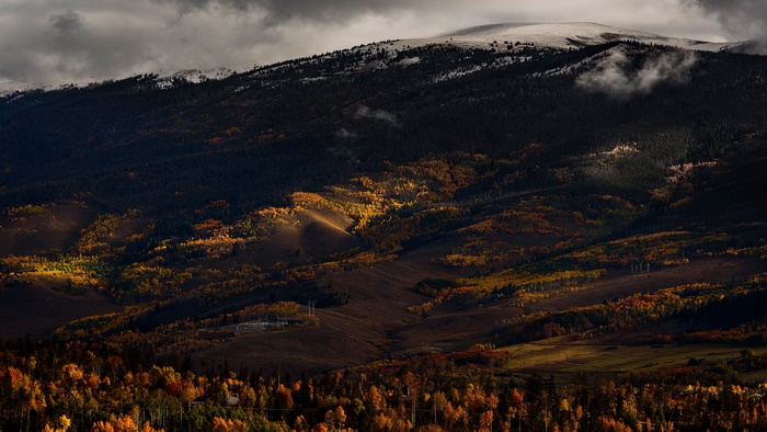 Mountain forest landscape with fall colors and snow