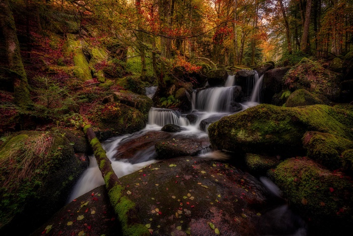 Waterfall in a mossy forest in France during Fall
