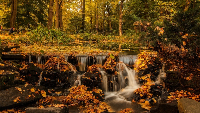 Waterfall in a Forest during Fall