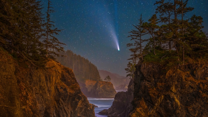 Comet over rocky coast with pine trees and stars