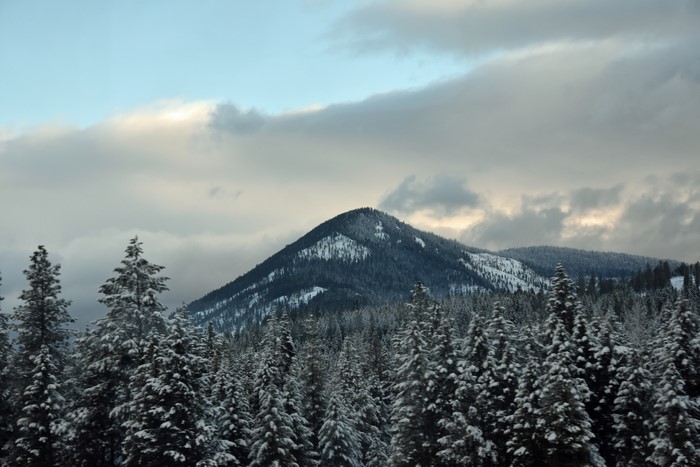Snowy mountains and pine trees under cloudy sky