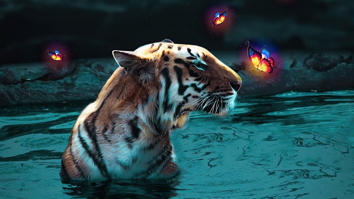 Tiger in water with glowing butterflies