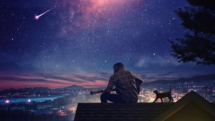 Man with guitar and cat on roof under starry sky
