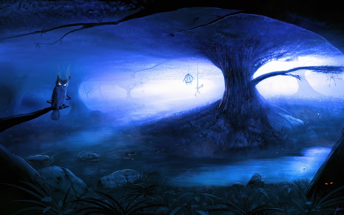 Fantasy forest with owl and spiders 4K