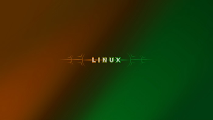 Linux logo with abstract design