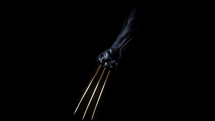 Wolverine's Claws