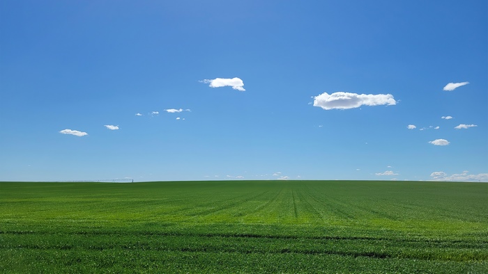 Vast green field under a blue sky with clouds