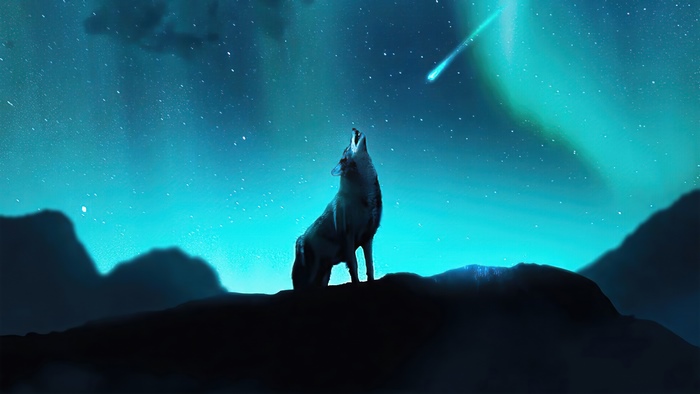Wolf howling at shooting star and aurora borealis