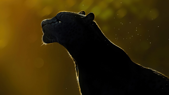 Black Panther artwork 4K