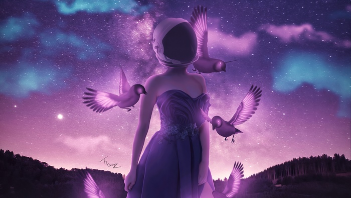 Astronaut woman in purple dress with birds in starry sky