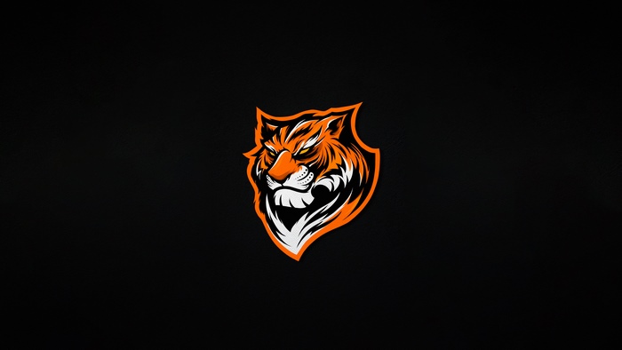 Minimalist Tiger Illustration