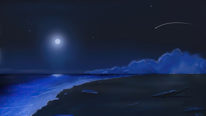 Night beach with moon and shooting star