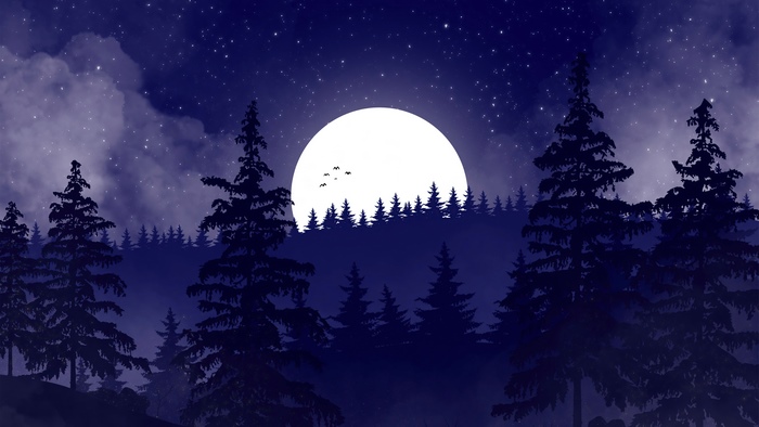 Minimalist digital art of a forest at night