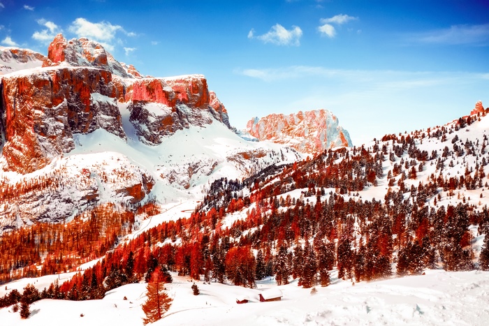 Snowy mountains with orange trees and blue sky
