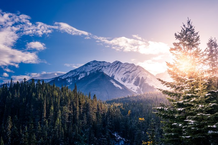 Snow-capped mountains and evergreen forest at sunrise
