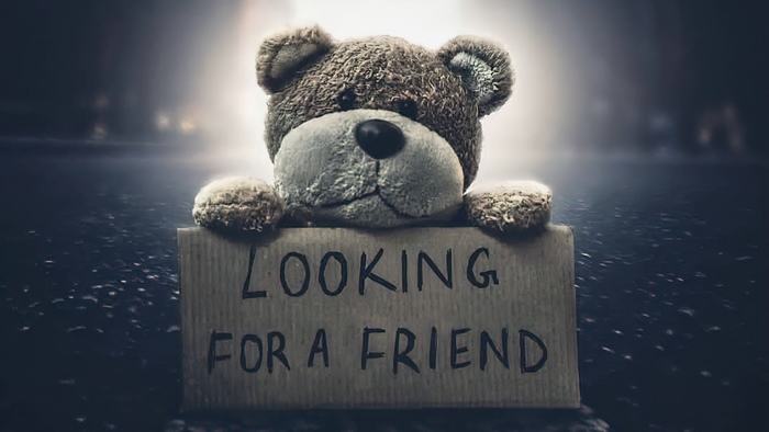 Teddy bear holding a "Looking for a friend" sign