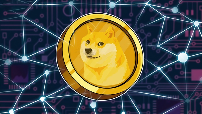 Dogecoin cryptocurrency coin with network connections