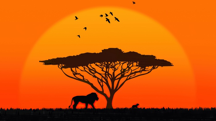 Lion and cub under acacia tree at sunset