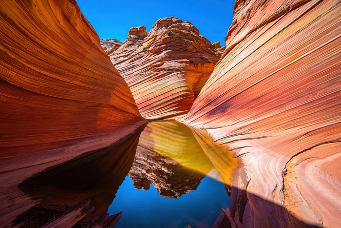The Wave Canyon with Water Reflection