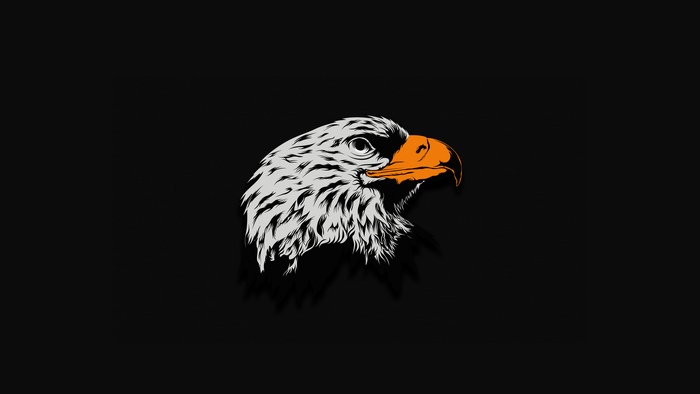 Eagle head illustration on black background