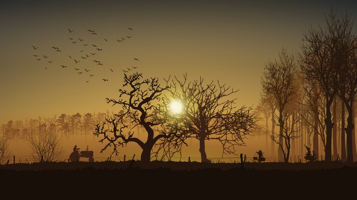 Farmer on tractor in misty sunrise with birds