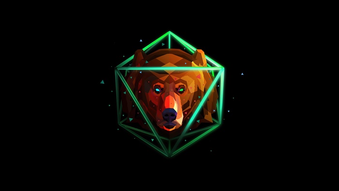 Bear head inside a geometric shape by Justin Maller