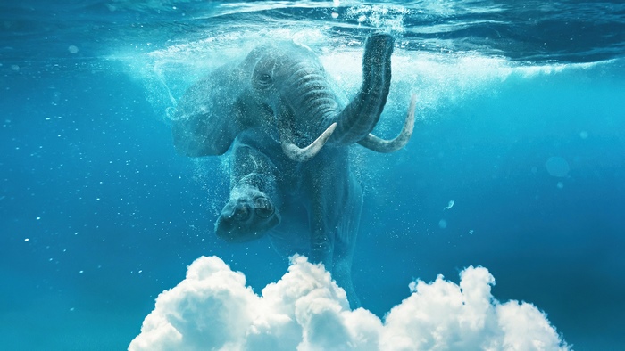Elephant underwater with clouds