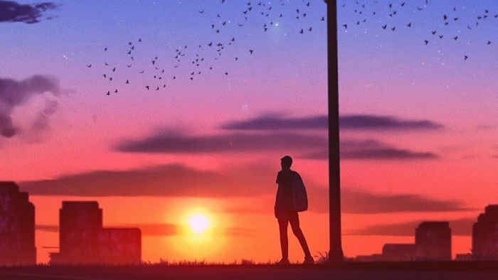Silhouette of a person standing by a lamppost at sunset with birds flying