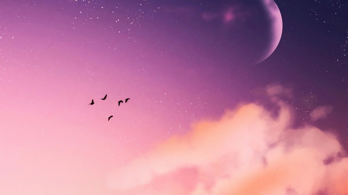 Birds flying in a purple and pink sky with clouds and a planet