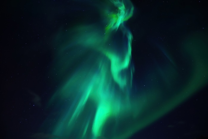 Aurora Borealis in a Starry Night Sky