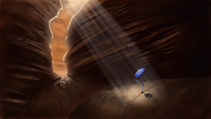 Blue flower growing in a canyon with sunbeams