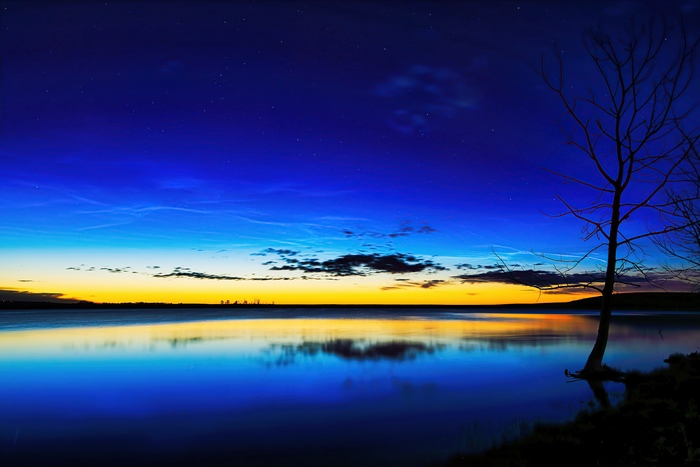 Tree by lake at dusk with stars