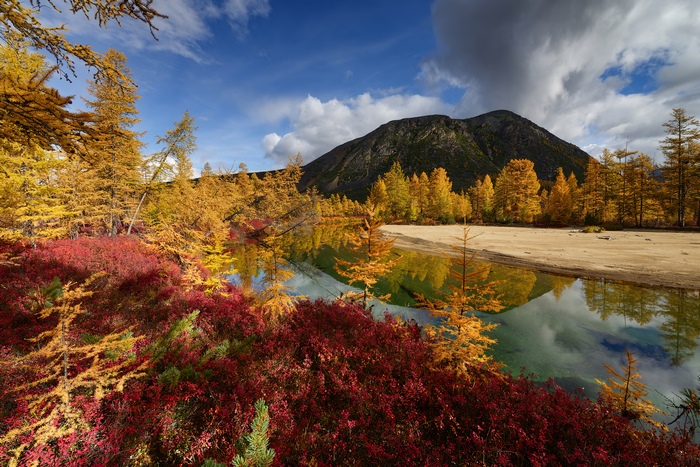 Autumn lake with colorful trees and mountain