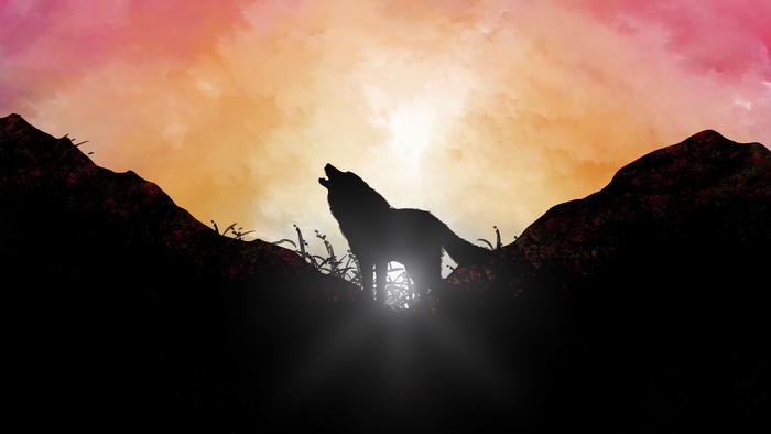 Silhouette of a wolf howling at sunset